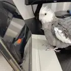 المجمعه واذا كنت في عنيزه