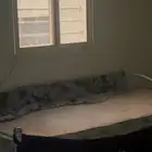 ثلاث كراسي للبيع شبة جديدة