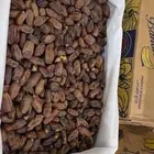 برني الديسه