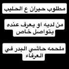 مطلوب حيران حليب لمحلمه حاشي البدر في العرفاء