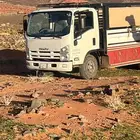 دينا دنه دينه لتوصيل المشاوير