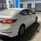 النتراء 2017