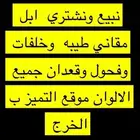خلفات وعشاير ولقحات وبعارين وقعدان جميع الالوان