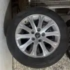 جنوط كابرس رويال