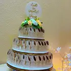 توزيعات حفلات