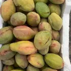 لوز قطيفي احمر و اصفر