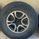 جنوط فراشه
