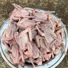 زغاليل للبيع