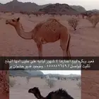 حشوان
