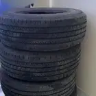 كفرات سكويا نص عمر