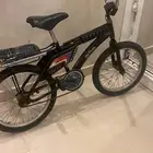 رامبو اندنوسي