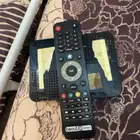 حي المحمدية