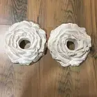 ورد الجوري والكامليا بالجبس اعمال يدويه