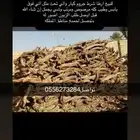 ارطي مستورد