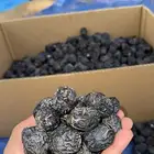 عجوه انتاج يومي