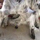 كمر مكينه هوندا اكورد
