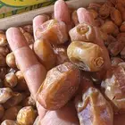 تمر خلاص فاخر من المزرعه مباشر