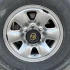 جنوط ديازل فورشنر