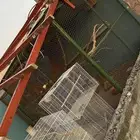 حضيره نظيفه بكامل ملحقاتها . بيوت أعشاش وسقايات