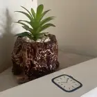 ساعة ابل