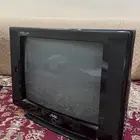تلفزيون