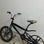 كوبرا طلقه مشالله