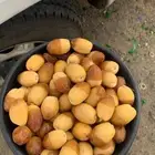 عندنا صقعي و منيفي و حمرا و هلاليه و برحي و جميع انواع
