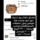 مجموعات ماركات متفرقه