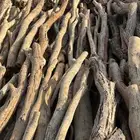 حوطة بني تميم