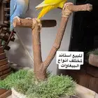 للبيع استاند ببغاوات وعصافير ديكور مميز