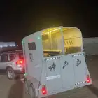 عربه نقل خيل