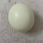 بيض نعام مفرغ