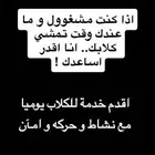 اقدم خدمه لاصحاب الحيوانات انا بساعدكم