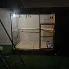 للبيع شبك طيور