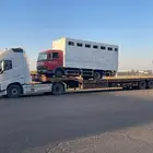 لوبد في سكاكا و عرعر طبرجل الجوف والحدود الشمالية على اي ات