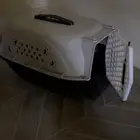للبيع اغراض قطو مع رتل بوكس رمل والالعاب وقفص واكل وكيس رمل