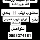 مطلوب ارنب دفع النوع بلدي