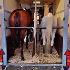 عربه نقل خيل توصيل خيول المانيه في الخفجي