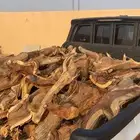 سمر شلايخ عشرط