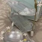 صحن