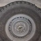 جنوط شنبر وكاله