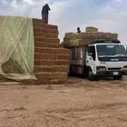 تبن بر صافي