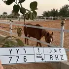 لوحة مهر - م ه ر 776
