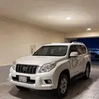 برادو الفين 12