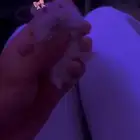 زوج هامستر وينتر وايت
