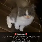 قطوه ضايعه