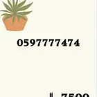 ارقام STC مميزة