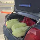 جح سيدلان للبيع