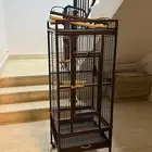 قفص طيور ( بغبغاء) للبيع