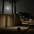 الى يبي اي شي من تيماء شقق اراضي مزارع تعقيب